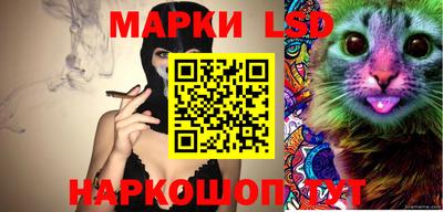 ешки Бийск