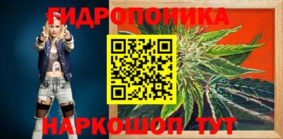 ешки Бийск