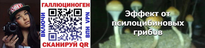 где продают наркотики Астрахань Галлюциногенные грибы Magic Shrooms