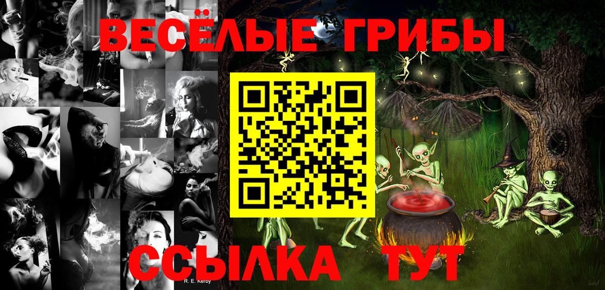 Псилоцибиновые грибы мицелий Астрахань