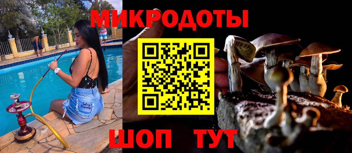 Астрахань  Галлюциногенные грибы мухоморы  Вход с VPN  Псилоцибиновые грибы прущие грибы 